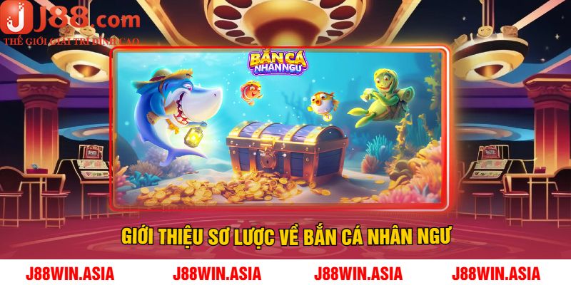 Giới Thiệu Sơ Lược Về Bắn Cá Nhân Ngư