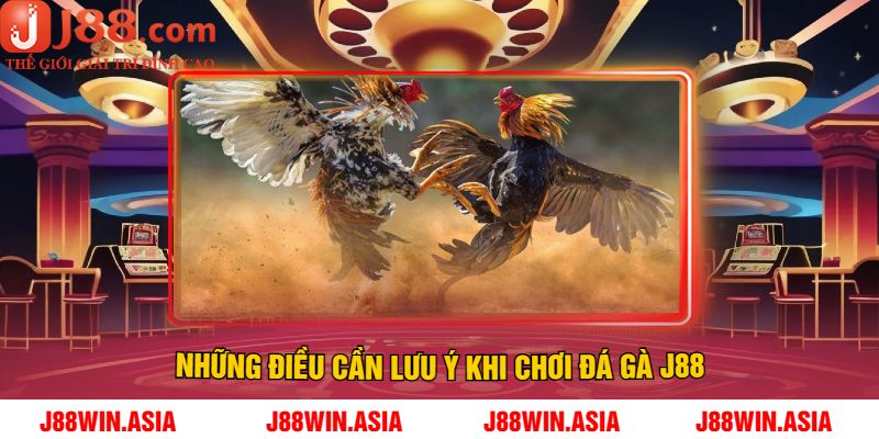 Những điều cần lưu ý khi chơi Đá Gà J88
