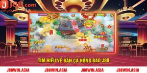 Tìm Hiểu Về Bắn Cá Hồng Bao J88